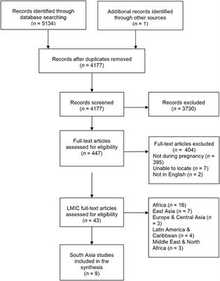 Prenatal Maternal Anxiety in South Asia: A Rapid Best-Fit Framework Synthesis